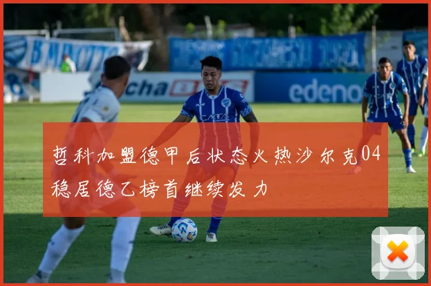 哲科加盟德甲后状态火热沙尔克04稳居德乙榜首继续发力