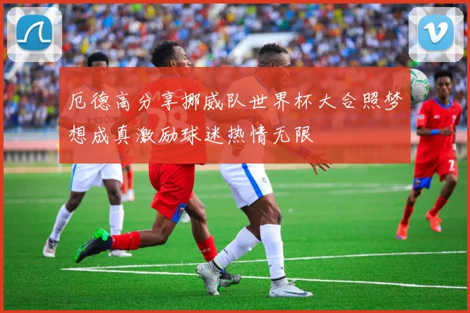厄德高分享挪威队世界杯大合照梦想成真激励球迷热情无限